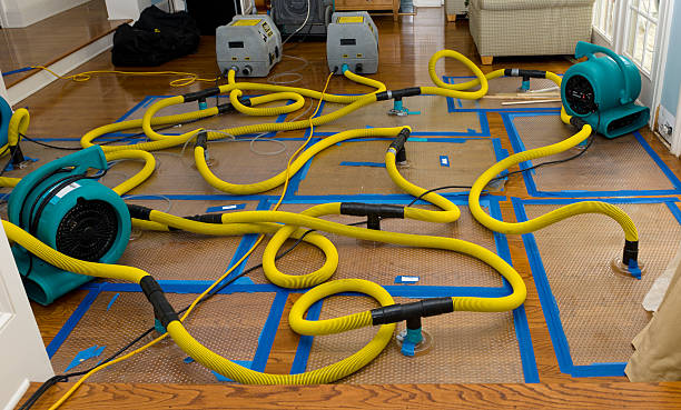 Professional Water Damage Repair technician working in Whitinsville, MA
